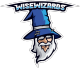 WiseWizards Academy
