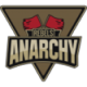 Anarchy电子竞技俱乐部